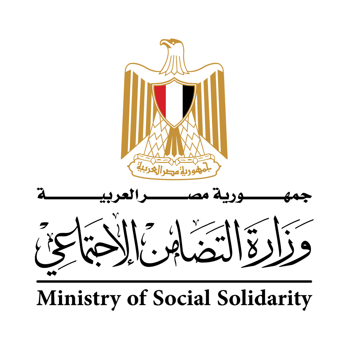 وزارة التضامن الأجتماعي